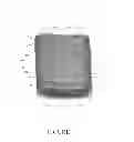 Fig. 04 - PORTABLE THAWING UNIT