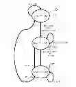 Fig. 01 - Optical safety implementation in protection switching modules