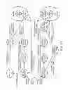 Fig. 09 - Transporting data and auxiliary signals over an optical link