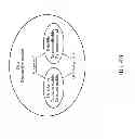 Fig. 07 - Transporting data and auxiliary signals over an optical link