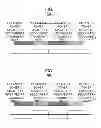 Fig. 06 - Image forming apparatus