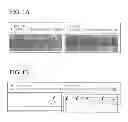 Fig. 02 - FERRITIC STAINLESS STEEL