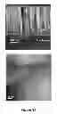 Fig. 22 - Metal Complex Compositions and Methods for Making Metal-Containing Films