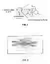 Fig. 02 - Multimodal nanoparticles for non-invasive bio-imaging
