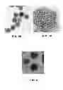 Fig. 04 - Multimodal nanoparticles for non-invasive bio-imaging