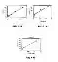 Fig. 07 - Multimodal nanoparticles for non-invasive bio-imaging