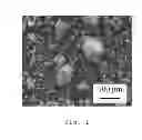 Fig. 02 - Intrinsically magnetic hydroxyapatite