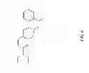 Fig. 07 - POLYMERIZED SHELL LIPID MICROBUBBLES AND USES THEREOF