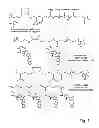Fig. 02 - Cyclodextrin-based polymers for therapeutics delivery