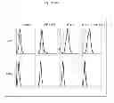 Fig. 07 - INTERFERON THERAPIES IN COMBINATION WITH BLOCKADE OF STAT3 ACTIVATION