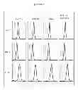Fig. 08 - INTERFERON THERAPIES IN COMBINATION WITH BLOCKADE OF STAT3 ACTIVATION