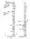 Fig. 08 - Method of producing recombinant proteins with mannose-terminated N-glycans