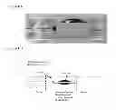 Fig. 02 - Methods and compositions for the treatment of open and closed wound spinal cord injuries