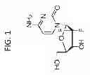 Fig. 02 - COMPOSITIONS AND METHODS FOR TREATING AND PREVENTING CANCER BY TARGETING AND INHIBITING CANCER STEM CELLS