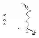 Fig. 06 - COMPOSITIONS AND METHODS FOR TREATING AND PREVENTING CANCER BY TARGETING AND INHIBITING CANCER STEM CELLS