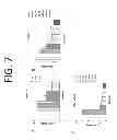 Fig. 08 - COMPOSITIONS AND METHODS FOR TREATING AND PREVENTING CANCER BY TARGETING AND INHIBITING CANCER STEM CELLS