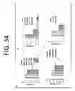 Fig. 35 - COMPOSITIONS AND METHODS FOR TREATING AND PREVENTING CANCER BY TARGETING AND INHIBITING CANCER STEM CELLS