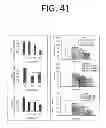 Fig. 43 - COMPOSITIONS AND METHODS FOR TREATING AND PREVENTING CANCER BY TARGETING AND INHIBITING CANCER STEM CELLS