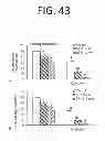 Fig. 46 - COMPOSITIONS AND METHODS FOR TREATING AND PREVENTING CANCER BY TARGETING AND INHIBITING CANCER STEM CELLS
