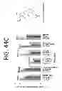 Fig. 49 - COMPOSITIONS AND METHODS FOR TREATING AND PREVENTING CANCER BY TARGETING AND INHIBITING CANCER STEM CELLS