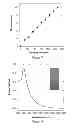 Fig. 06 - Method for producing thin layers