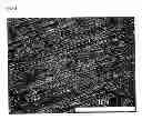 Fig. 07 - Magnesium-based medical device and manufacturing method thereof