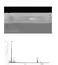 Fig. 08 - Zinc oxide precursor containing alkyl zinc halide and method of depositing zinc oxide-based thin film using the same