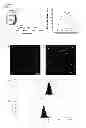 Fig. 07 - Porous thin films