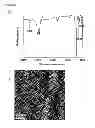 Fig. 08 - Porous thin films