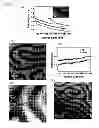 Fig. 09 - Porous thin films