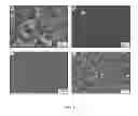 Fig. 06 - Superhydrophobic poly(dimethylsiloxane) and methods for making the same