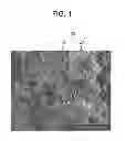 Fig. 02 - Active material, electrode containing the active material, lithium secondary battery including the electrode, and method for making active material