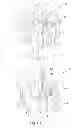 Fig. 02 - Orthodontic bracket