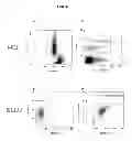 Fig. 02 - Methods of Detecting BRAF Mutations in Cancer