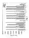 Fig. 02 - Antibodies, kit and method for detecting amyloid beta oligomers