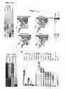 Fig. 09 - Enzymes