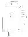 Fig. 08 - CONTAMINATION-FREE REAGENTS FOR NUCLEIC ACID AMPLIFICATION