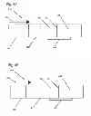 Fig. 05 - Method and device for combined detection of viral and bacterial infections