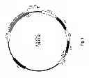 Fig. 02 - Enhanced expression and stability regions
