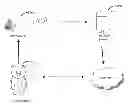 Fig. 01 - Interactive toy apparatus and method of using same