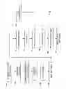 Fig. 02 - USER METHOD FOR MAKING EVENT-RELATED MEDIA COLLECTION