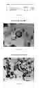 Fig. 08 - Sulfoxidation catalysts and methods and systems of using same