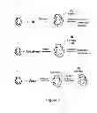 Fig. 08 - Methods to produce polymer nanoparticles and formulations of active ingredients