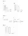 Fig. 02 - Method for inhibiting HIV replication in mammal and human cells