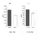 Fig. 02 - Methods of treating autoimmune diseases of the central nervous system (CNS) and neurodegenerative diseases