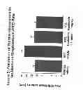 Fig. 06 - TREATMENT USING NEUBLASTIN POLYPEPTIDES