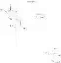 Fig. 08 - OXYTOCIN PEPTIDE ANALOGUES