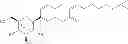 Fig. 07 - C-aryl glucoside derivatives, preparation process and pharmaceutical use thereof