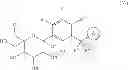 Fig. 19 - C-aryl glucoside derivatives, preparation process and pharmaceutical use thereof