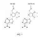 Fig. 02 - Methods and compositions for providing cardiac protection